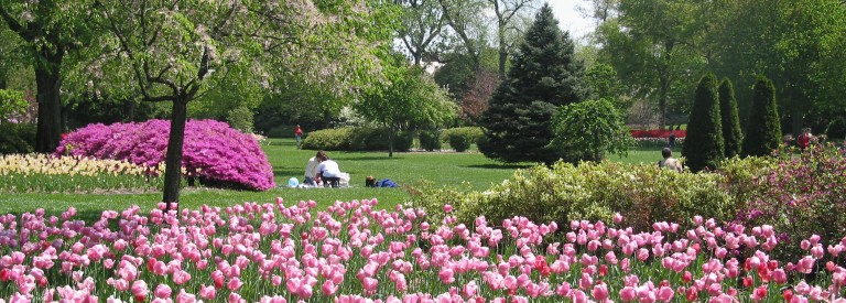 Sherwood Gardens