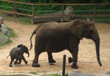 The Maryland Zoo - Baltimore